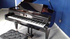 Beautiful Black Ebony Bosendorfer Grand Piano Hammers for $53,125 at Ripley Auctions, January 16th