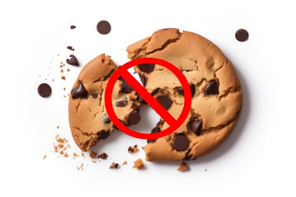 Navigating the Cookieless Future: What to Expect from Cookie-Based Marketing in 2024